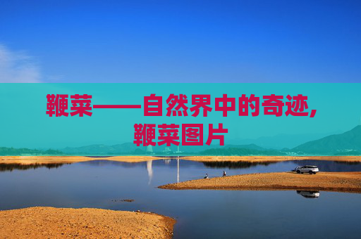 鞭菜——自然界中的奇迹,鞭菜图片