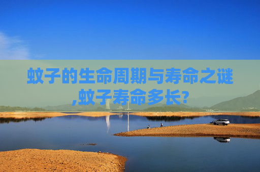 蚊子的生命周期与寿命之谜,蚊子寿命多长?