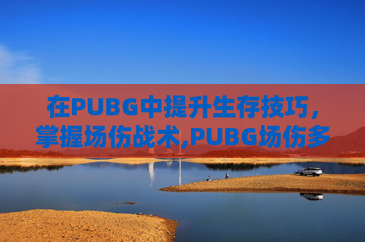 在PUBG中提升生存技巧，掌握场伤战术,PUBG场伤多少算高