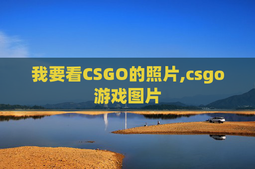 我要看CSGO的照片,csgo游戏图片