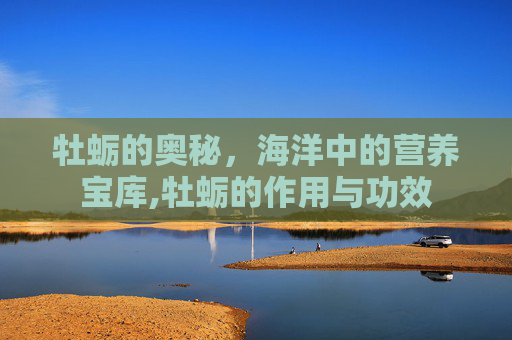 牡蛎的奥秘，海洋中的营养宝库,牡蛎的作用与功效