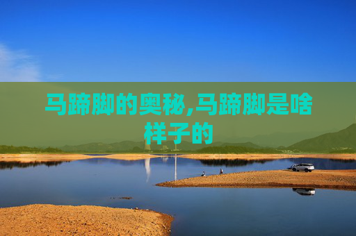 马蹄脚的奥秘,马蹄脚是啥样子的