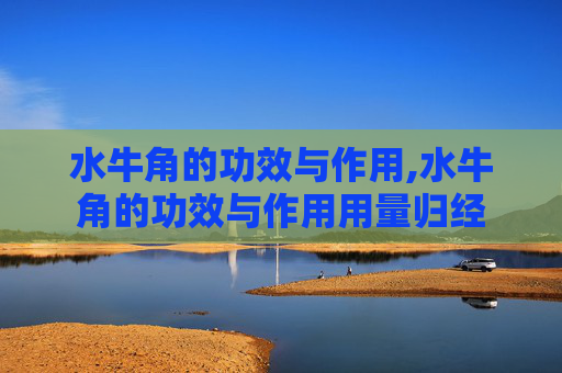 水牛角的功效与作用,水牛角的功效与作用用量归经