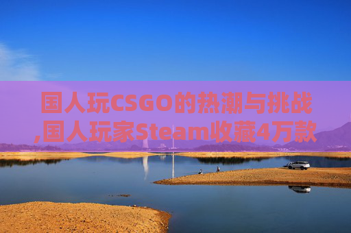 国人玩CSGO的热潮与挑战,国人玩家Steam收藏4万款游戏