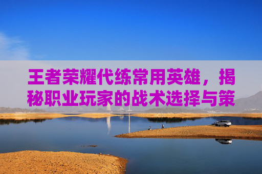 王者荣耀代练常用英雄，揭秘职业玩家的战术选择与策略布局,王者荣耀代练有多厉害