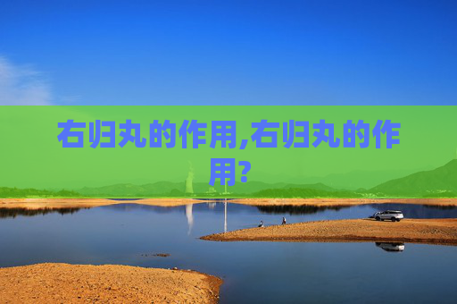 右归丸的作用,右归丸的作用?