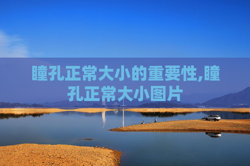 瞳孔正常大小的重要性,瞳孔正常大小图片