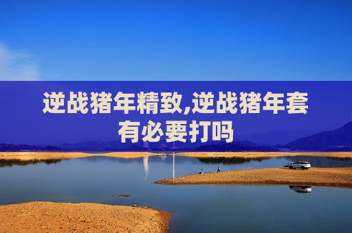 逆战猪年精致,逆战猪年套有必要打吗