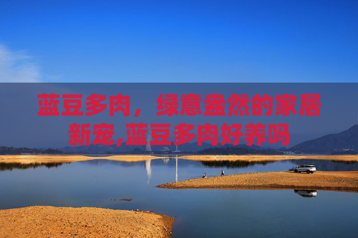 蓝豆多肉，绿意盎然的家居新宠,蓝豆多肉好养吗