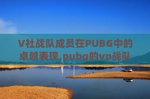 V社战队成员在PUBG中的卓越表现,pubg的vp战队