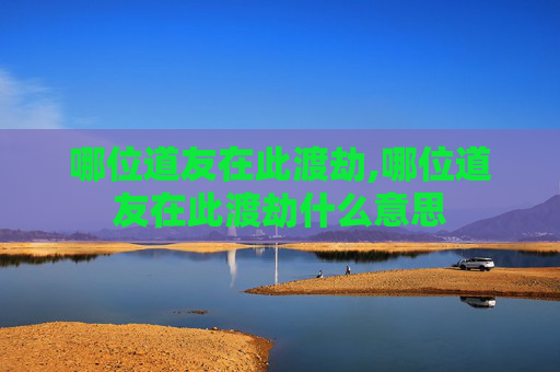 哪位道友在此渡劫,哪位道友在此渡劫什么意思