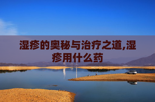 湿疹的奥秘与治疗之道,湿疹用什么药