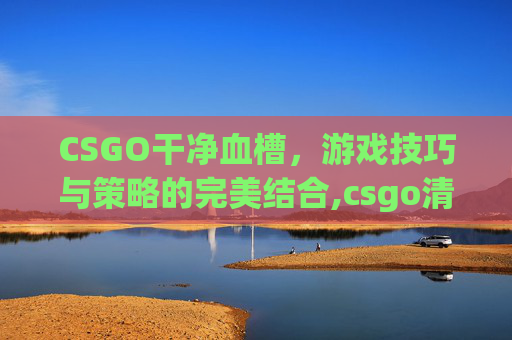 CSGO干净血槽，游戏技巧与策略的完美结合,csgo清楚血