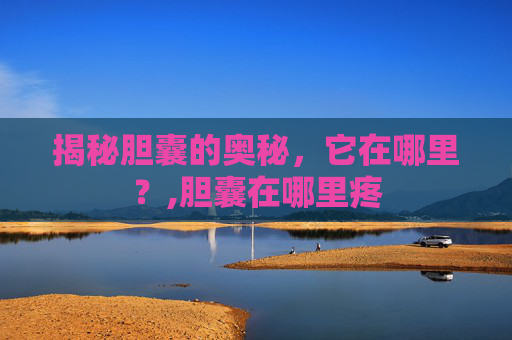 揭秘胆囊的奥秘，它在哪里？,胆囊在哪里疼