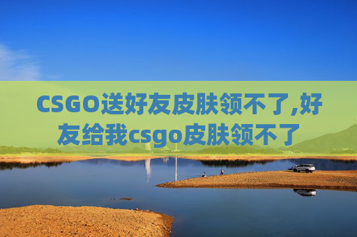 CSGO送好友皮肤领不了,好友给我csgo皮肤领不了
