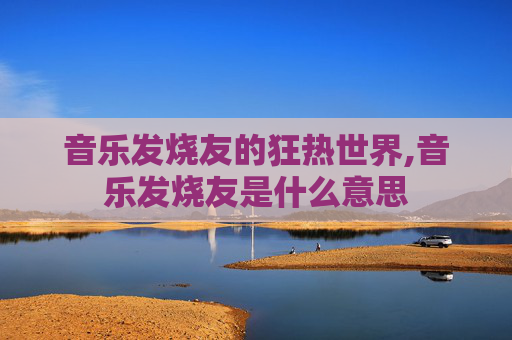 音乐发烧友的狂热世界,音乐发烧友是什么意思