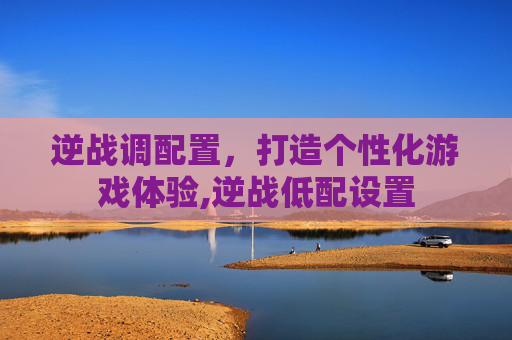 逆战调配置，打造个性化游戏体验,逆战低配设置