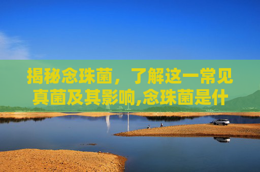 揭秘念珠菌，了解这一常见真菌及其影响,念珠菌是什么病