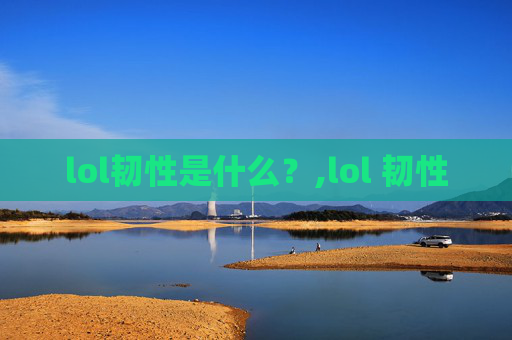 lol韧性是什么？,lol 韧性