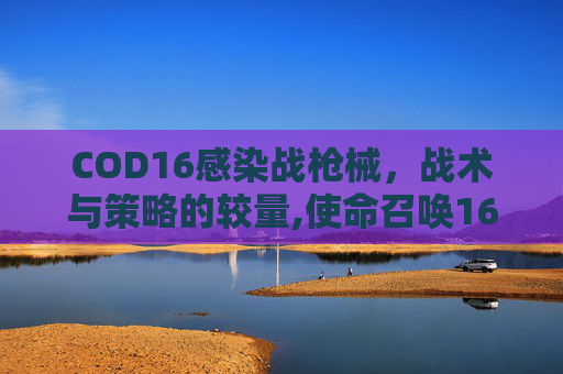 COD16感染战枪械，战术与策略的较量,使命召唤16感染战