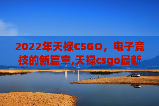 2022年天禄CSGO，电子竞技的新篇章,天禄csgo最新动态