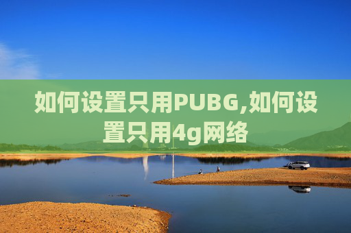 如何设置只用PUBG,如何设置只用4g网络