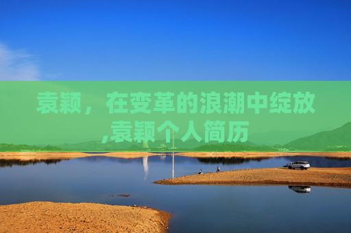袁颖，在变革的浪潮中绽放,袁颖个人简历