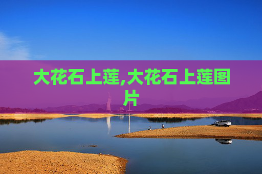 大花石上莲,大花石上莲图片