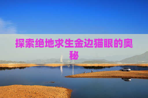探索绝地求生金边猫眼的奥秘