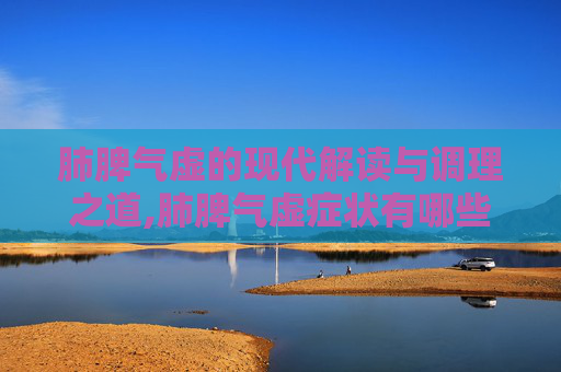 肺脾气虚的现代解读与调理之道,肺脾气虚症状有哪些