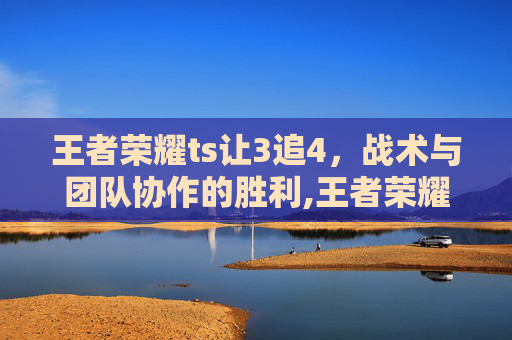 王者荣耀ts让3追4，战术与团队协作的胜利,王者荣耀T3T0攻略