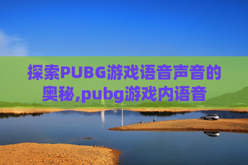 探索PUBG游戏语音声音的奥秘,pubg游戏内语音