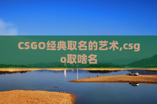 CSGO经典取名的艺术,csgo取啥名
