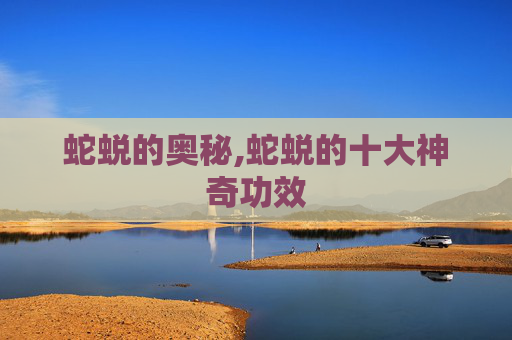 蛇蜕的奥秘,蛇蜕的十大神奇功效