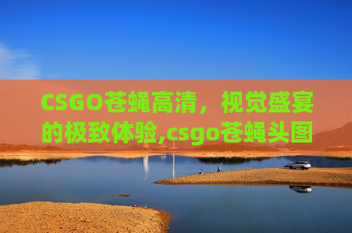 CSGO苍蝇高清，视觉盛宴的极致体验,csgo苍蝇头图片