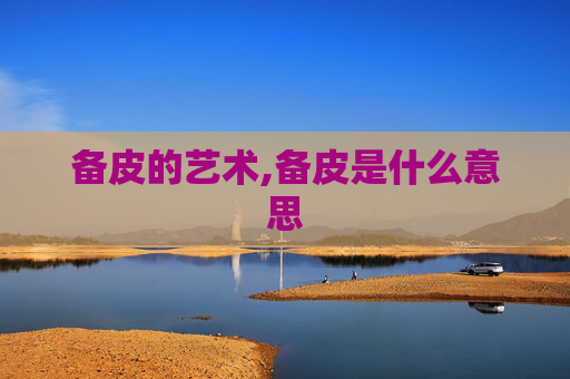 备皮的艺术,备皮是什么意思