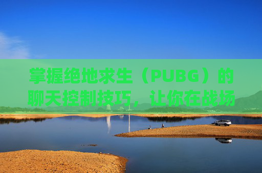 掌握绝地求生（PUBG）的聊天控制技巧，让你在战场上更加从容不迫,pubg提示怎么关