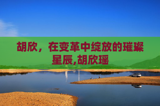 胡欣，在变革中绽放的璀璨星辰,胡欣瑶