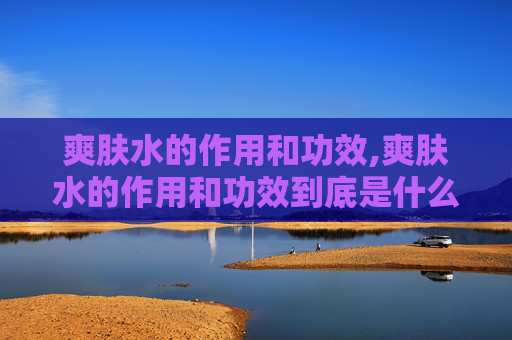 爽肤水的作用和功效,爽肤水的作用和功效到底是什么