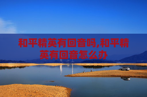 和平精英有回音吗,和平精英有回音怎么办