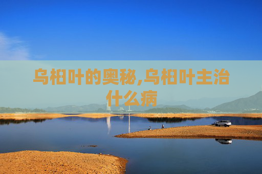 乌桕叶的奥秘,乌桕叶主治什么病