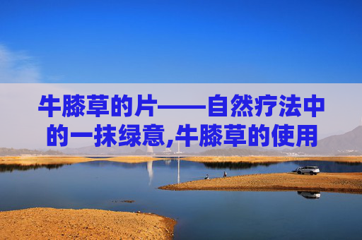 牛膝草的片——自然疗法中的一抹绿意,牛膝草的使用方法