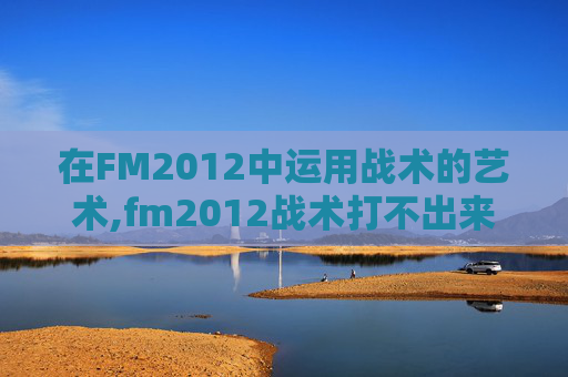 在FM2012中运用战术的艺术,fm2012战术打不出来