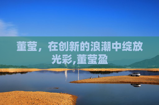 董莹，在创新的浪潮中绽放光彩,董莹盈