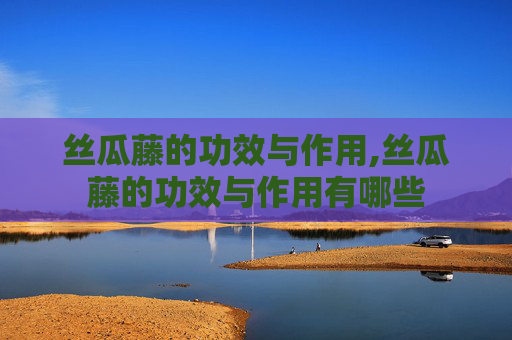 丝瓜藤的功效与作用,丝瓜藤的功效与作用有哪些