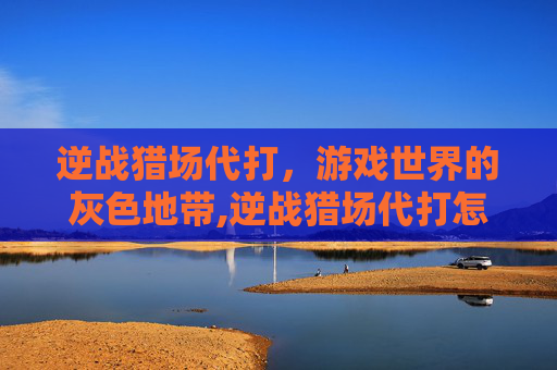 逆战猎场代打，游戏世界的灰色地带,逆战猎场代打怎么样