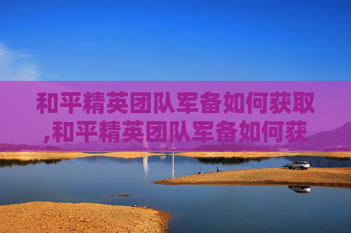和平精英团队军备如何获取,和平精英团队军备如何获取衣服