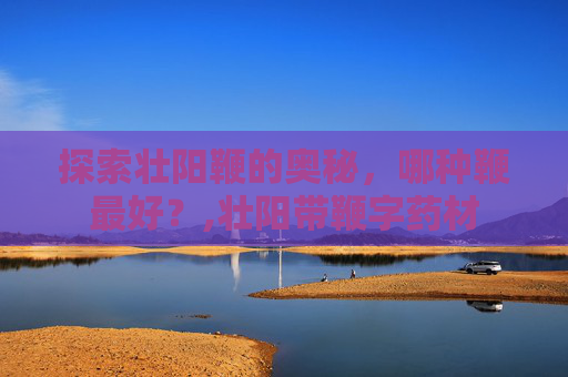 探索壮阳鞭的奥秘，哪种鞭最好？,壮阳带鞭字药材