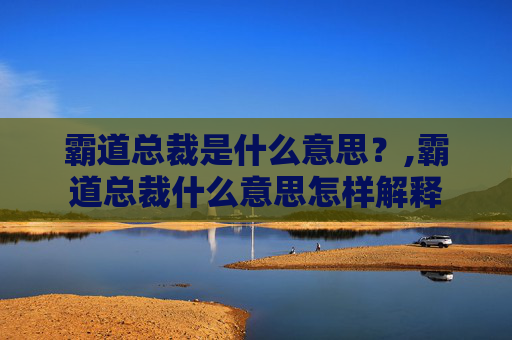 霸道总裁是什么意思？,霸道总裁什么意思怎样解释