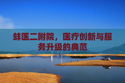 蚌医二附院，医疗创新与服务升级的典范